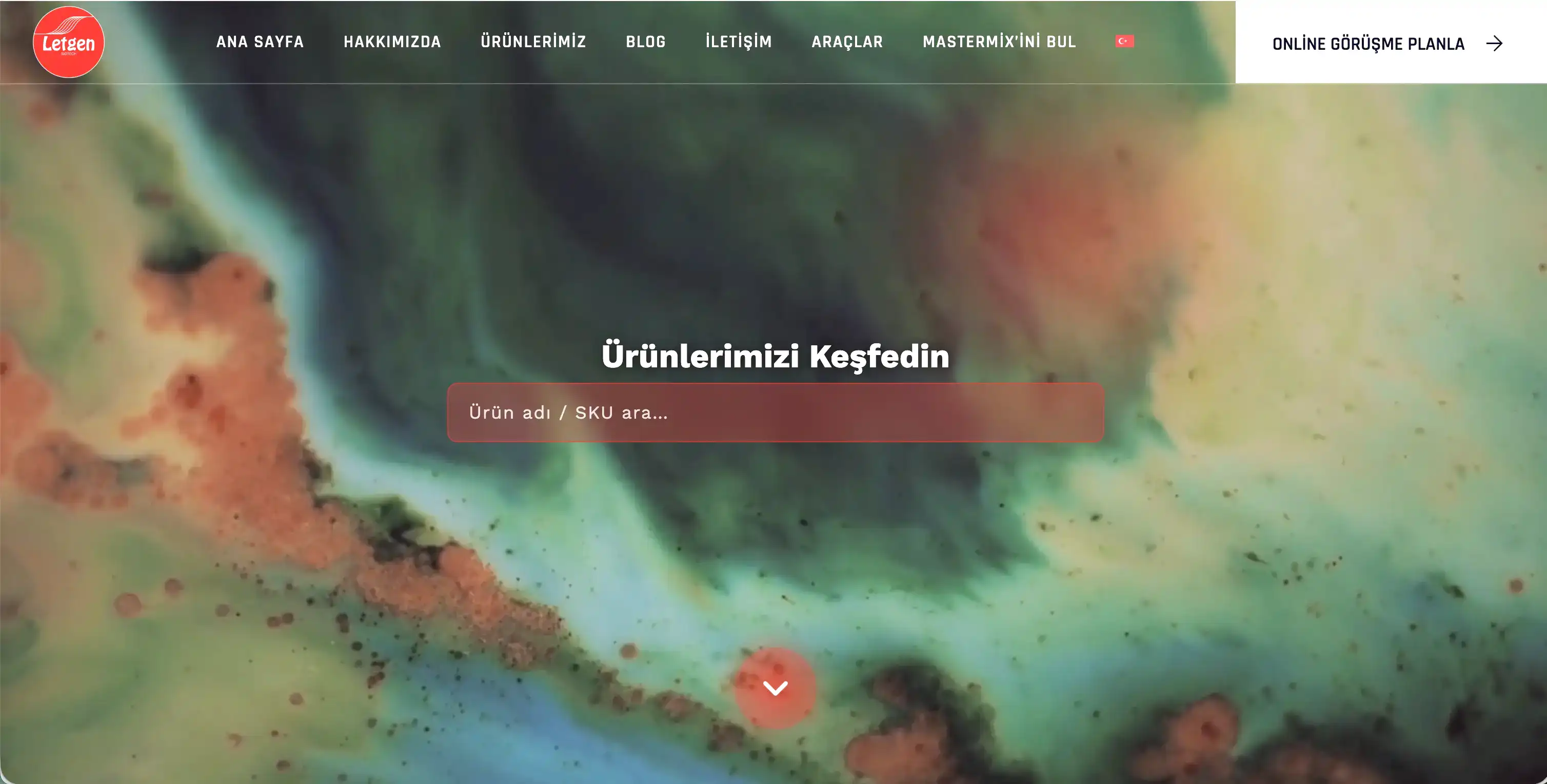 Letgenbio Web Tasarım